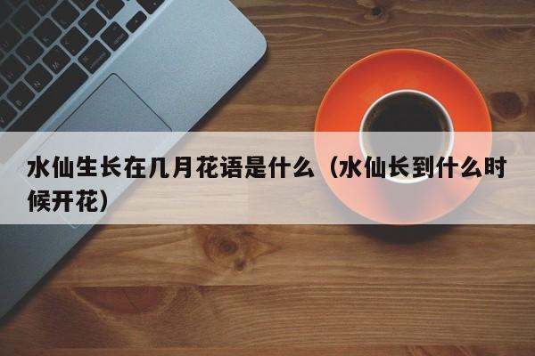 水仙生长在几月花语是什么（水仙长到什么时候开花） 