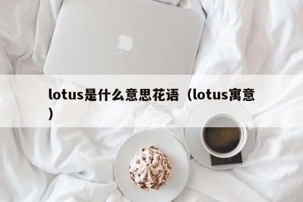 lotus是什么意思花语(lotus寓意)