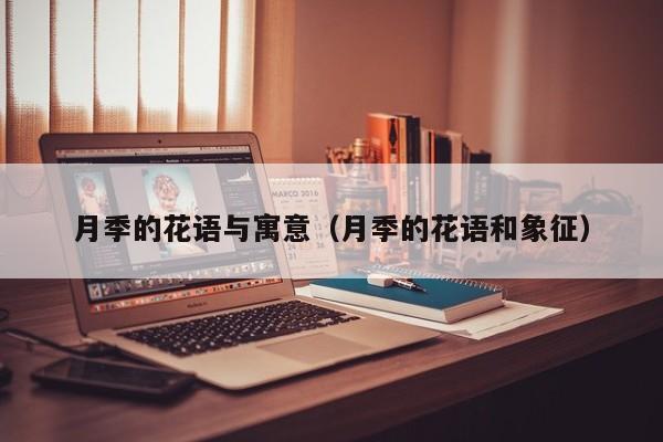 月季的花语与寓意（月季的花语和象征） 
