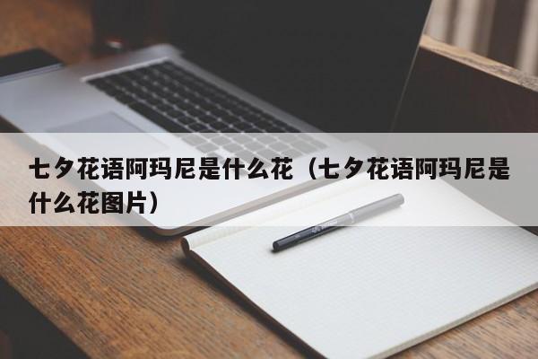 七夕花语阿玛尼是什么花（七夕花语阿玛尼是什么花图片） 