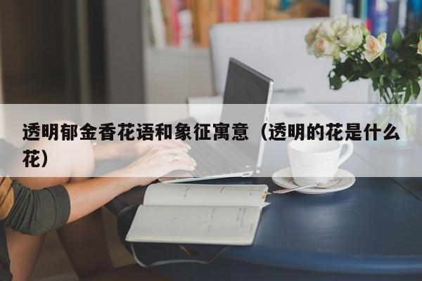 透明郁金香花语和象征寓意（透明的花是什么花） 